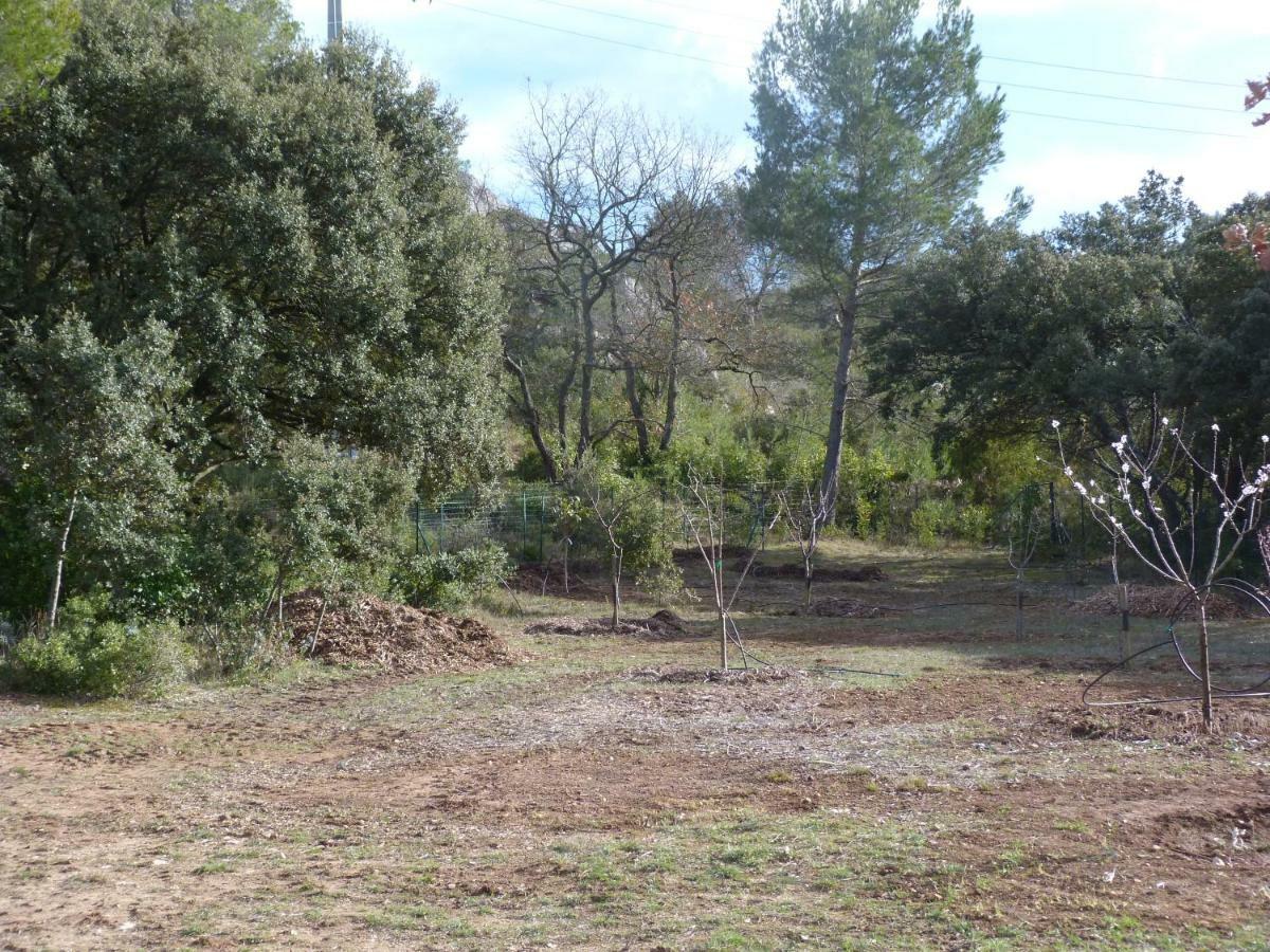 Les Cigales Appartamento Alleins Esterno foto